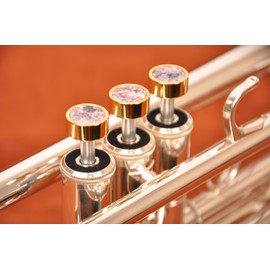 HEAVY Trumpet custom finger buttons for all Yamha (All YTR), Stomvi, Shagerl, Carol Brass and Fides Trumpets, Yamaha flugelhorn 631/731, Yamaha cornet models (24K Gold Plated, Charoite)
