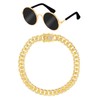 2Pcs Chain Collar and Sunglasses Set, Porch Goose Outfits Accessories