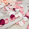 ZOOYOO 200Pcs Silk Rose Flower Petals for Valentaine's Day,Wedding Flower