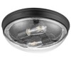 Prominence Home Madalyn 13" Bronze Flush Mount Clear Seeded Round