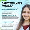 VITBOOST Elderberry Immune Support Supplement 8-in-1 Formula with Echinacea, Vitamin