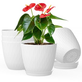 LESOASIS 6 inch Plant Pots 5 Pack, Flower Pots for Outdoor Indoor Plants, Plant Pot with Drainage Hole and Tray Saucer, Home Garden Pots Cactus, Succulents Planter (White)