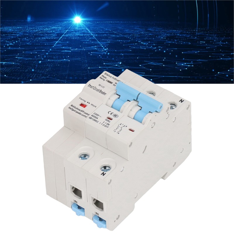 Wifi Circuit Breaker 2P DIN Rail Mount Remote Control Smart