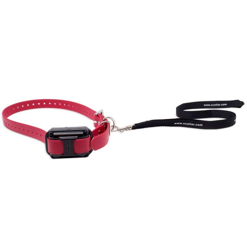 Educator Dog Trainer Nylon Lanyard Lead for Use with E-Collar