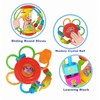 HOLA Baby Toys 6 to 12 Months, Baby Rattles Activity