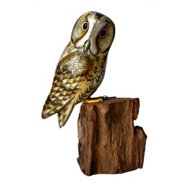 Hand Carved WOODLAND BIRD Wooden Ornament - TAWNY OWL on Tree Trunk - 14.5 cm