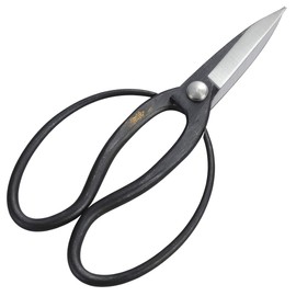 Kinboshi 3004 Venus Long Blade Okubo Shears (with Steel)