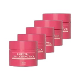 Ten Zero Night Care Nutrition Tone Up Elasticity Moisture Gel Type Sleeping Pack Essential Lip Berrypolis 15g 5 packs / 텐제로 야간케어 영양 톤업 탄력 수분 젤타입 수면팩 에센셜 립 베리폴리스 15g 5개