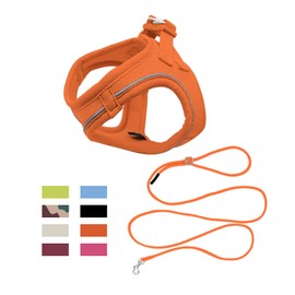 Qianruida Dog Harness, Step-in Harness for Dogs with Lead, Harness and Leashes for Cats, Breathable, Easy to Control, with Reflective Strips (Orange XXS)