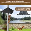 Metal Squirrel Baffle for 4x4 Post, Outside Wooden Pole Mount
