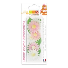 Scrapcooking 6 Margeriten+6 Grünen Blättern Matzo 26 G