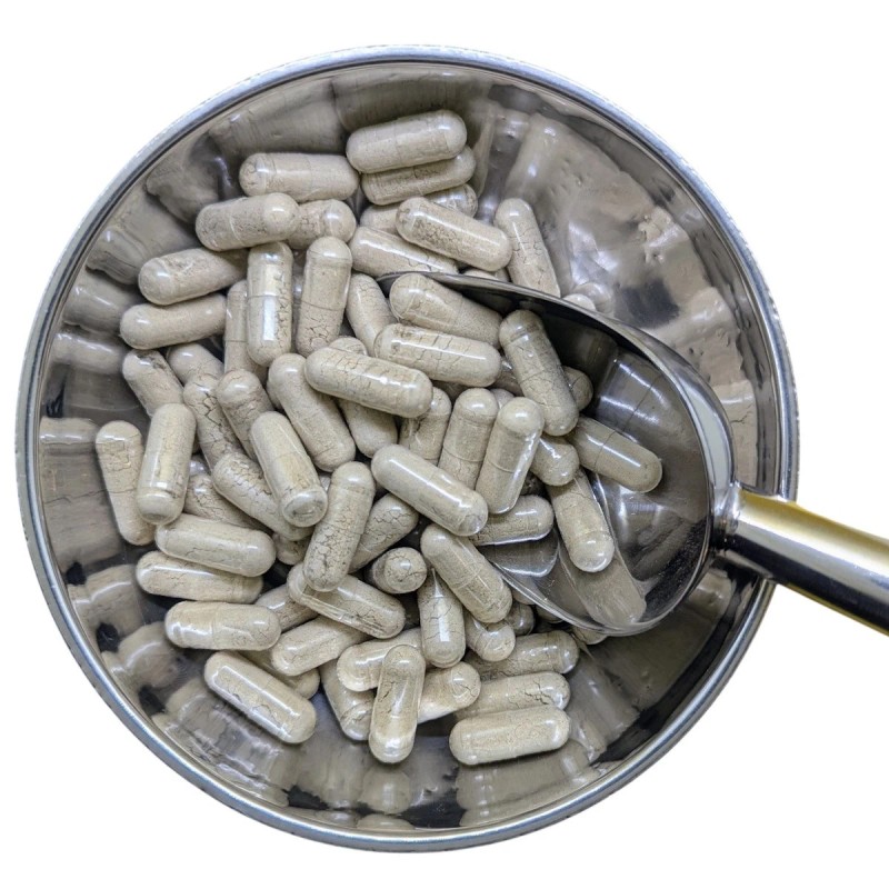 B17 Herbs Irish Sea Moss Blend w/Bladderwrack