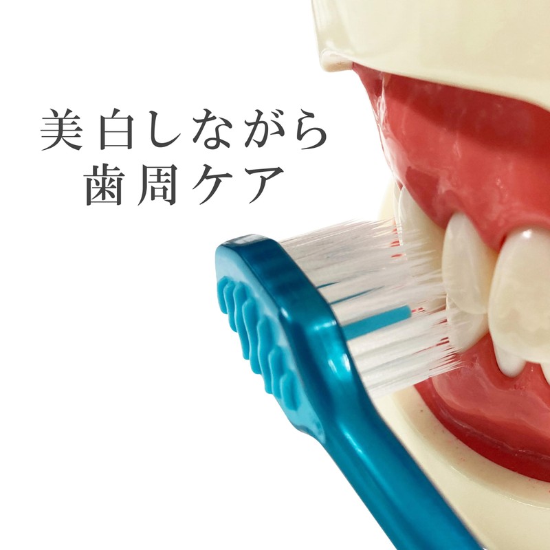 Ebisu Premium Care Teeth Whitening, 6-Row Compact, Regular, 3-Piece Set