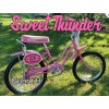 Huffy SWEET THUNDER Decals Only BMX Evel Knievel Both Guard