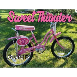Huffy SWEET THUNDER Decals Only  BMX  Evel Knievel Both Guard Styles