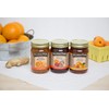 Dillman Farm Refreshing Preserves Variety Pack (6 pack)| Apricot Preserves,