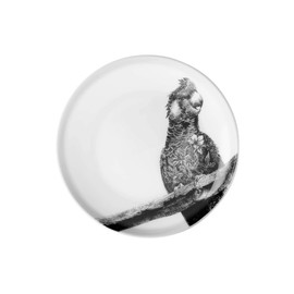 Mw Marini Ferlazzo Dish 11.5cm Carnaby Cockatoo Gift Boxed
