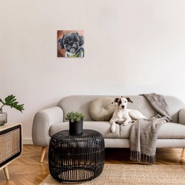 Stupell Industries Black Shih Tzu Dog Portrait Canvas Wall Art, Design by Lindsay Kivi Fine Art