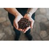 Costa Rican Coffee Dark Roast Whole Bean (8.8oz) - 100%