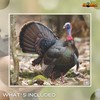 NiceTargets Turkey Archery Target, 20" x 22.5" Photorealistic Life Size