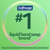 Softsoap Softsoap Liquid Hand Soap Refill, Soothing Clean, Aloe Vera