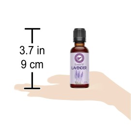 Essential Lavender Essential Oil 1 oz (30ml) - Aceite esencial de lavanda 1 oz by Creation