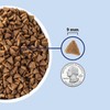 ACANA Indoor Entrée Fish Recipe Dry Cat Food 10lb Bag