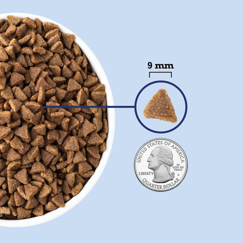 ACANA Indoor Entrée Fish Recipe Dry Cat Food 10lb Bag