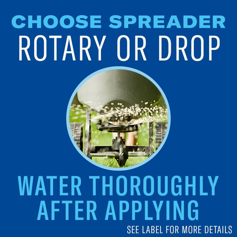 BioAdvanced 3-in-1 Weed and Feed for Southern Lawns, Granules, 20