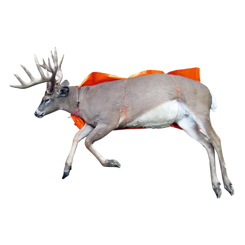 Cass Creek – Juego Glide – ccgg – Deer Slide