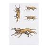 4 x 'Running Greyhounds' Temporary Tattoos - Water Resistant, Skin-Safe,