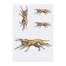 4 x 'Running Greyhounds' Temporary Tattoos - Water Resistant, Skin-Safe, Non-Toxic Transfers, Mixed Sizes (TO00043067)