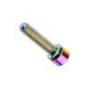 Titanium M6 x 25mm Allen Hex Bolts with Washers Screw