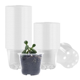 RooTrimmer Clear Seedling pots 100-Pack 3.2 Inches Round for Seeds Starter Pots, Seeds Germination Transparent Clean Pots with Drainage Holes(100 Pcs, 3.14Inch)