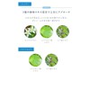 Elektore Mineral Ore Shampoo & Treatment Set (Shampoo & Treatment