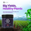 Bloom Pro Series - Hydroponic Plant Nutrients and Fertilizer, Water