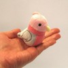 cocorita Peacock Magnet