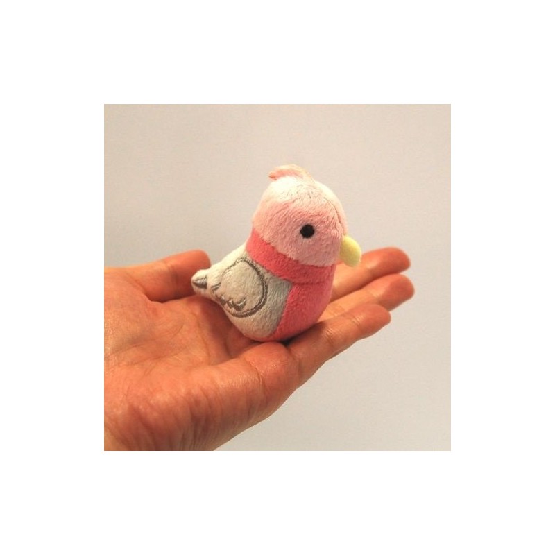 cocorita Peacock Magnet