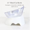 Double Dog Cat Bowls Anti Vomiting, Elevated Cat Food Water