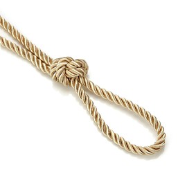 6mm Silky Barley Twist Cord Rope Braid 3 Ply & Matching 16mm Flanged Insertion Piping Furnishing Upholstery Crafts Trimming,36 Colors. High Strength, Neotrims. 5 Yards, Raw Silk (Cord)