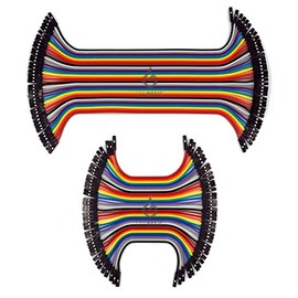 GenBasic 80 Piece Female to Female Jumper Wires (4 and 8 Inch)