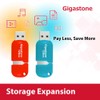 [Gigastone] V10 128GB 2-Pack USB 2.0 Flash Drive Thumb Drive