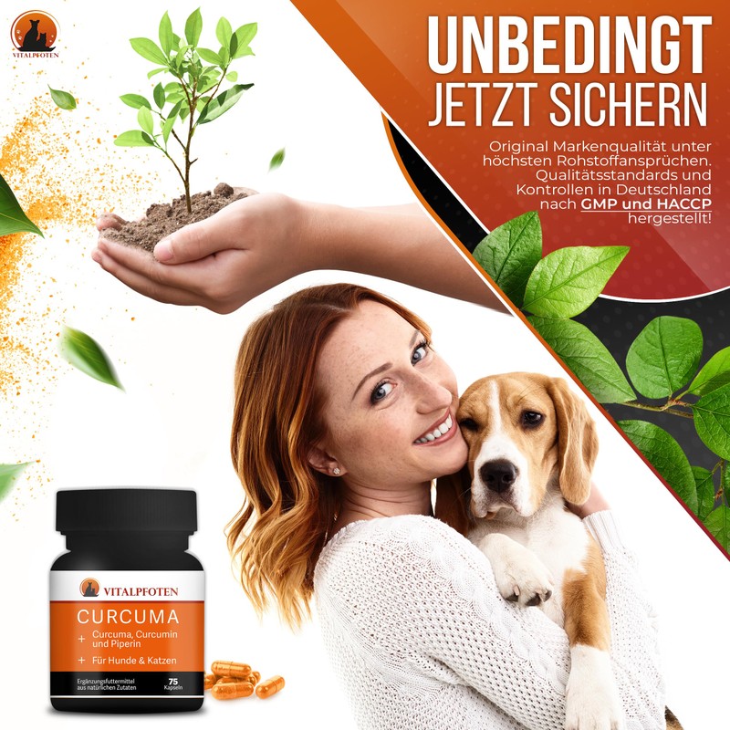 Vitalpfoten 75 Curcuma Capsules for Dogs and Cats with Curcumin