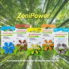 ZeniPower Size 312 1.45V Mercury-Free Zinc Air Hearing Aid Battery