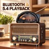 Retro Portable AM/FM/SW Radio with Bluetooth, AUX, TF Card, USB-C
