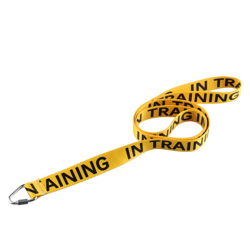Nervous Dog Leash, Work Dogs, Rescue Dogs, Anxious Dogs, Gift