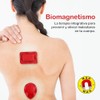 MAG | Kit de 20 Imanes de Ferrita | Para