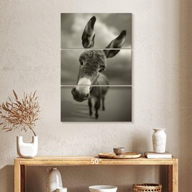 ElephantStock - Hey There Wall Art - Vertical Multi Panel Canvas - 3 Piece Living Room Wall Decor - Photography Donkey Multi Piece Wall Art - Gray And Black Decor by Ben Heine - 24" x 38"