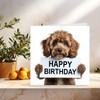 Geburtstagskarte "Happy Birthday", Cavapoo, niedlicher Hund, 145 x 145 mm
