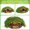 JULEASEL Mosswood Mini Treehouse for Indoor Plant Pots, Fairy Gardens